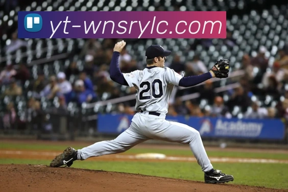 威尼斯人官网平台生态图